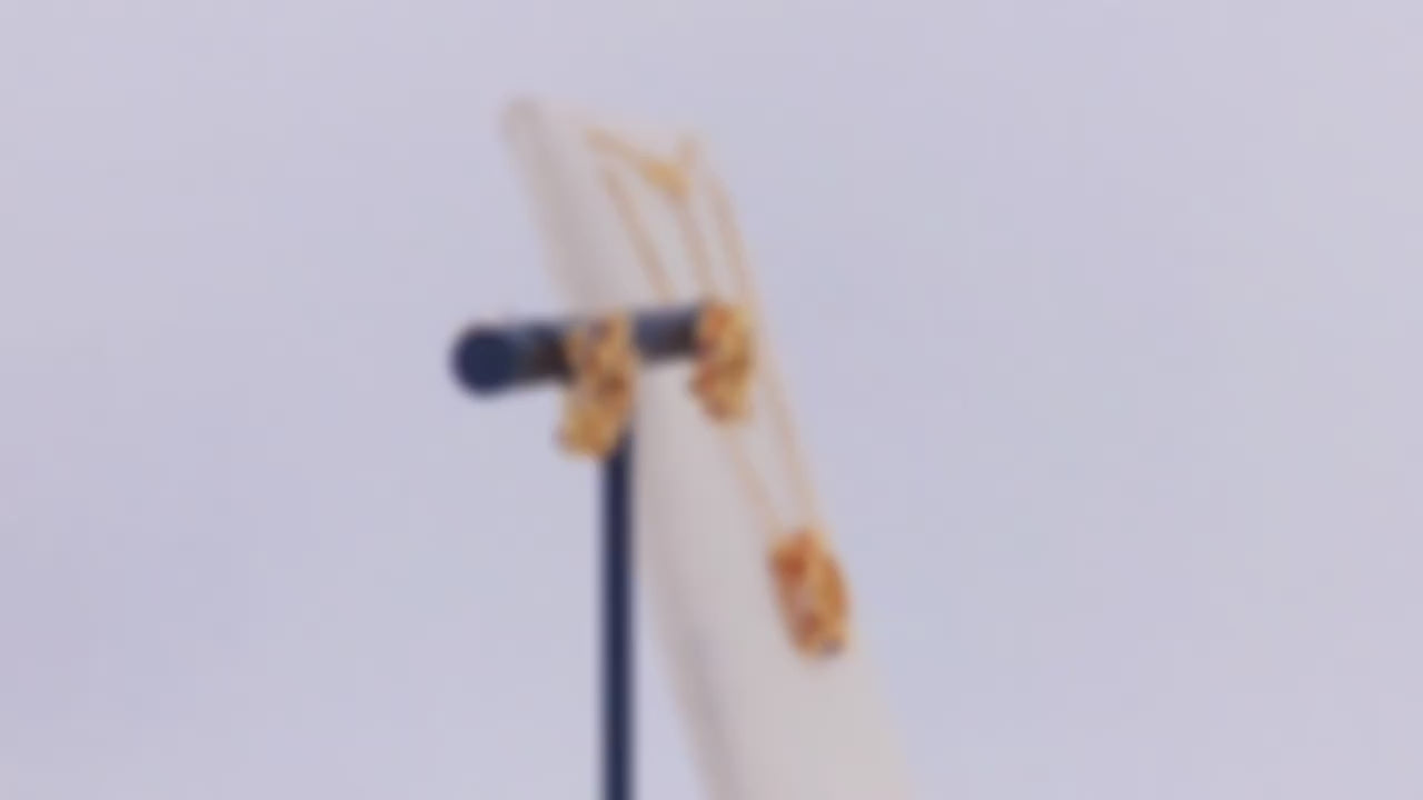 Special Sunflower Design Silver Necklace